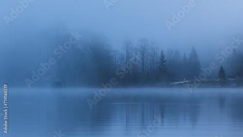 fog on the lake