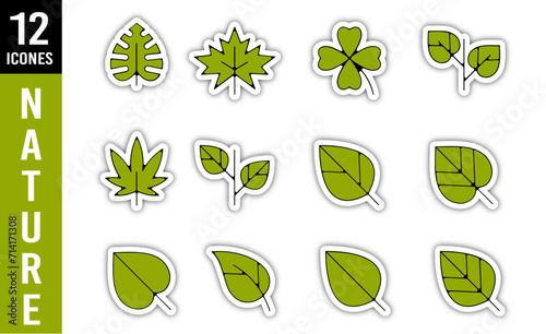 Feuilles arbres nature logo symbole trace couleur vert relief