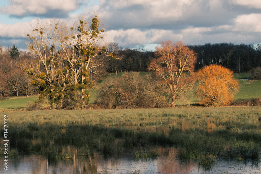 Les marais de Robehomme, Calvados, Normandie.