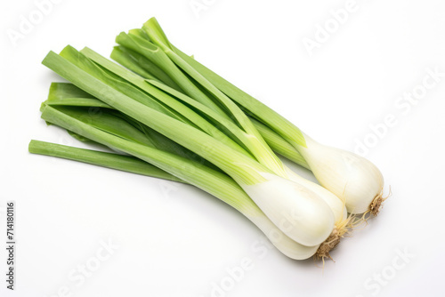 Leek vegetable, isolated white background