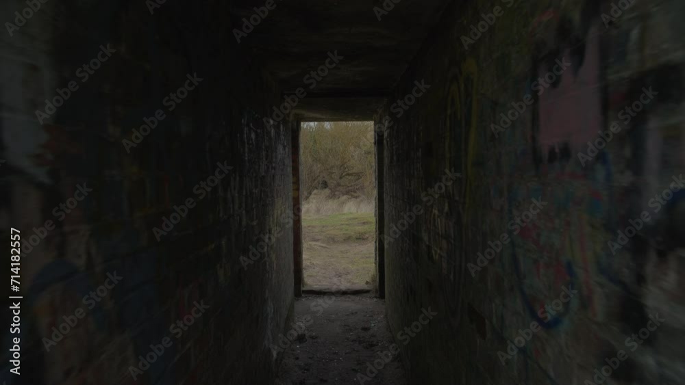 walking through abandoned building to reveal trees and bushes on the outside walking through abandoned building to reveal trees and bushes on the outside
