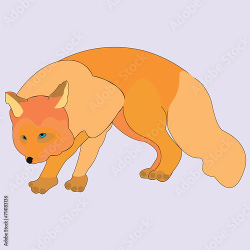 The fox stands on four legs, slightly bent over, side view. A predatory animal has a body covered with fluffy fur, a head, nose, eyes, tail, paws and claws.