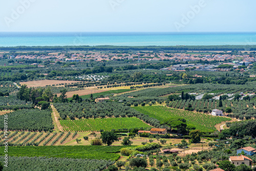 Wonderful landscape surrounding the village of Castagneto Carducci, in the Province of Livorno, Tuscany, Italy. photo