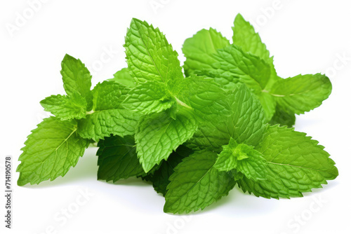 Mint, isolated white background