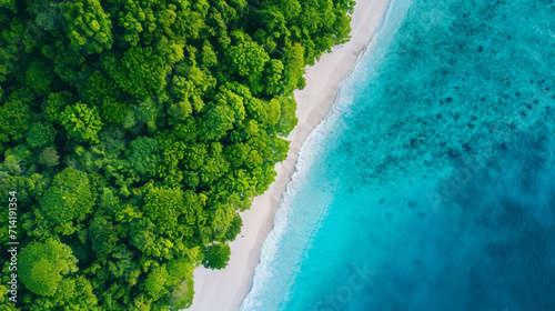 A photographic bird's-eye view of a tropical forest bordering a white sandy beach