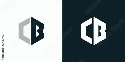 Vector logo design for the initials C and B with a hexagon shape.