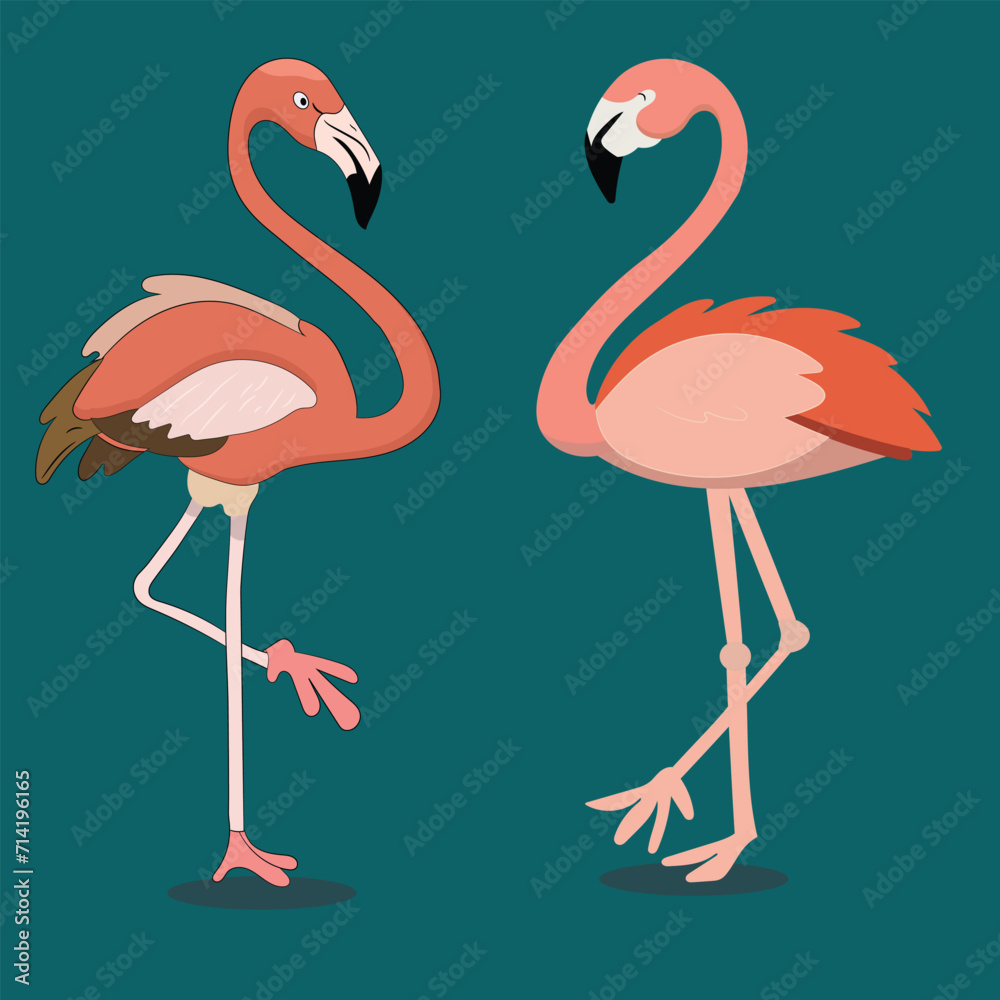 Obraz premium Tropical two vector flamingo cartoon illustration