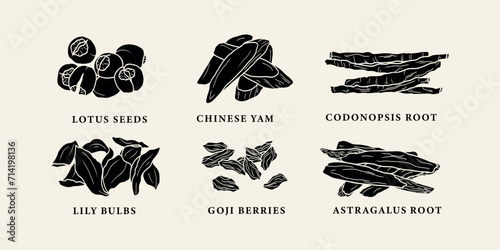 Flat vector Chinese herbs set