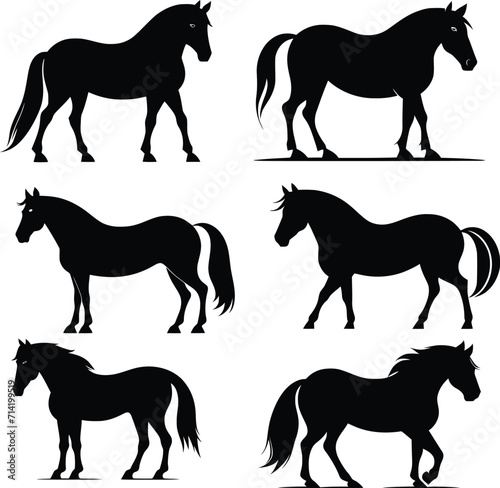 Horse Vector Art illustrator Design