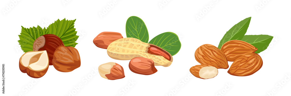 Set of heaps of nuts with green leaves. Vector cartoon illustration of hazelnuts, almonds and peanuts. Set of heaps of nuts with green leaves. Vector cartoon illustration of hazelnuts, almonds and peanuts.