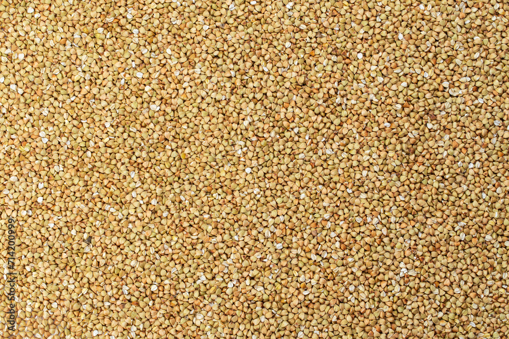 Scattered buckwheat background. Buckwheat texture. Scattered buckwheat background. Buckwheat texture.
