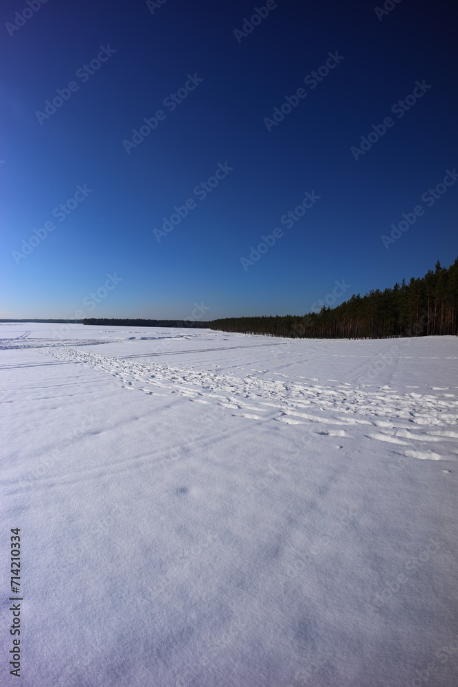 Będowska Desert, in winter, Dąbrowa Górnicza, poland Będowska Desert, in winter, Dąbrowa Górnicza, poland
