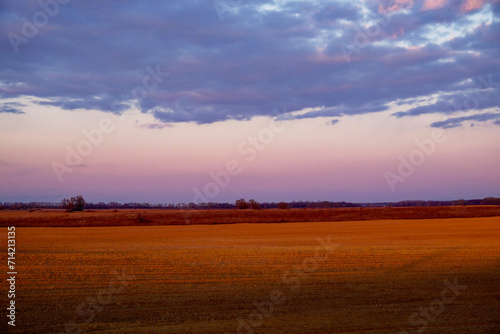 Evening light casts over freshly tilled agricultural land, distant tree line visible.