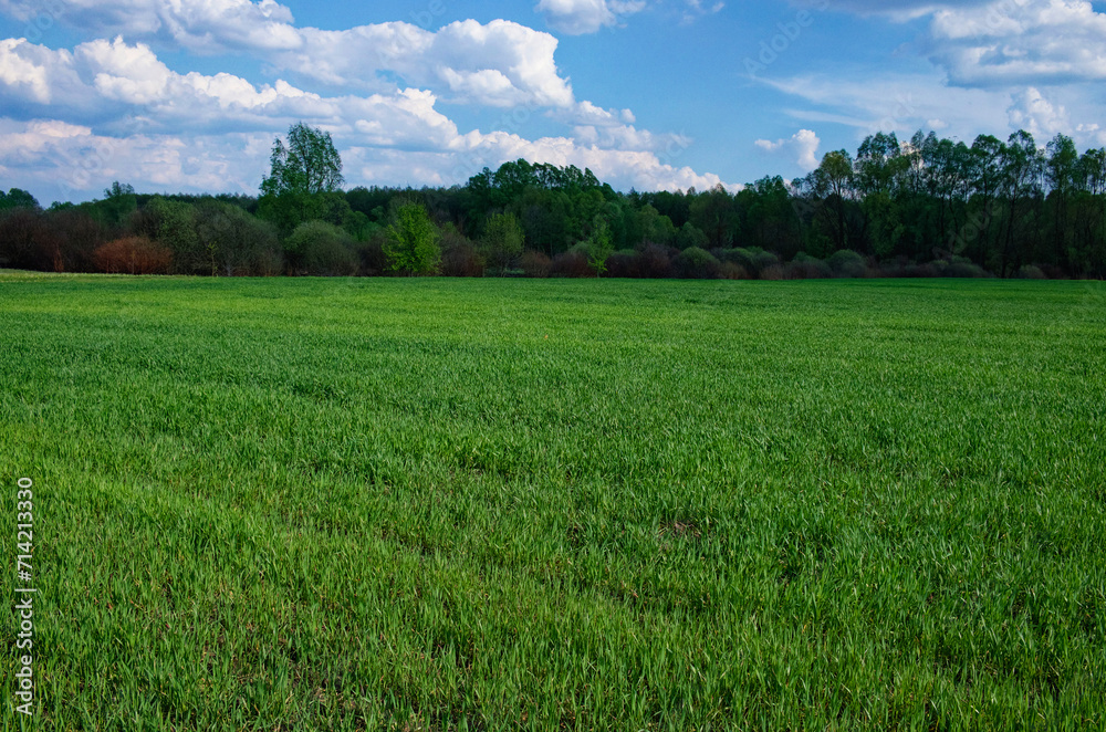 A lush grassy landscape stretches out, surrounded by trees, under a partly cloudy sky.