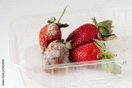 Obraz na plátně Red rotten strawberries with white mold in a plastic container on a white background