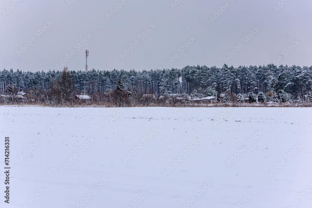 Równina, płaski teren pokryty polami uprawnymi. Ziemię pokrywa gruba warstwa białego śniegu. Na linii widnokręgu widać sosnowy las, korony drzew przykryte są śniegiem.