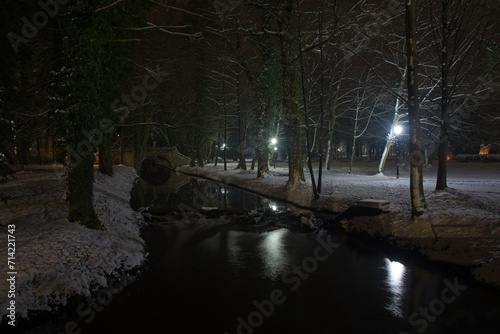 Zimowa noc w parku. Bezlistne drzewa i ziemię pokrywa warstwa śniegu. Przez park przepływa wąska, mała rzeka. Z prawej strony rzeki jest rząd świecących latarni.