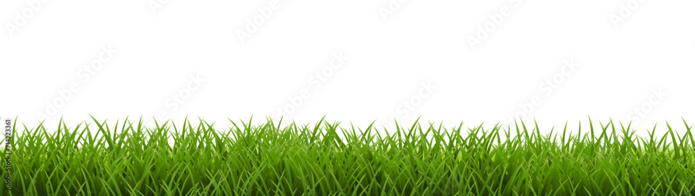 Grass Frame With Isolated White Background Grass Frame With Isolated White Background