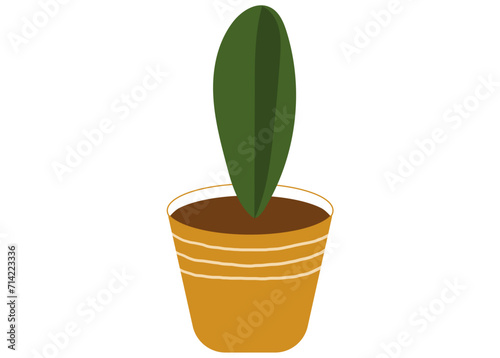 Plant Decor illustration for sticker and element