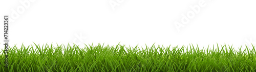 Grass Frame With Isolated White Background
