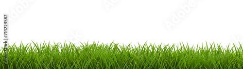 Grass Frame With Isolated White Background