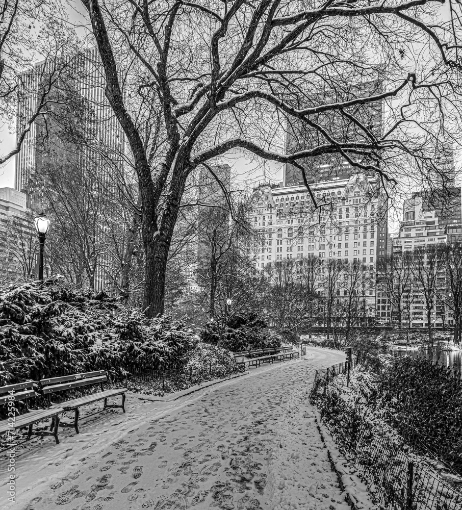 Central Park in winter , snow storm