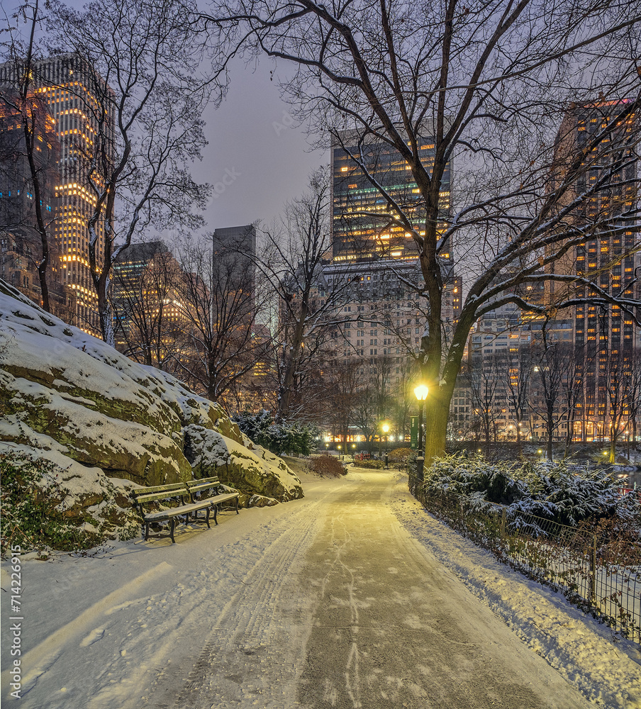 Central Park in winter , snow storm