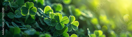 happy new year banner with four-leaf clover as a lucky charm on blurred background 