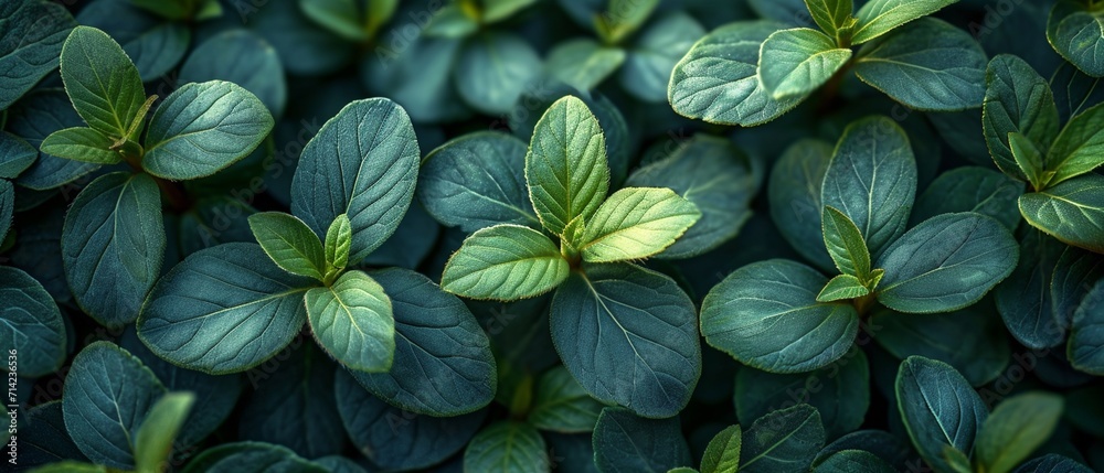 Fresh Foliage Background, generative ai