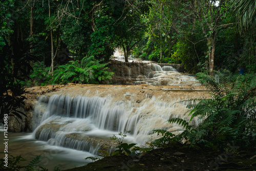 waterfall in the forest