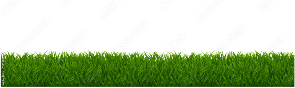 green grass background green grass background