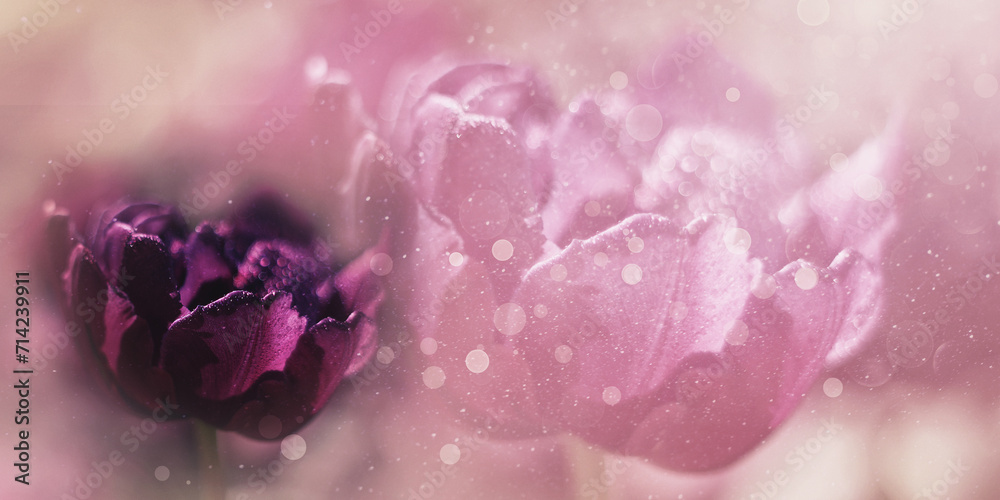 Fototapeta premium Różowe tło, wzór w kwiaty, miejsce na tekst