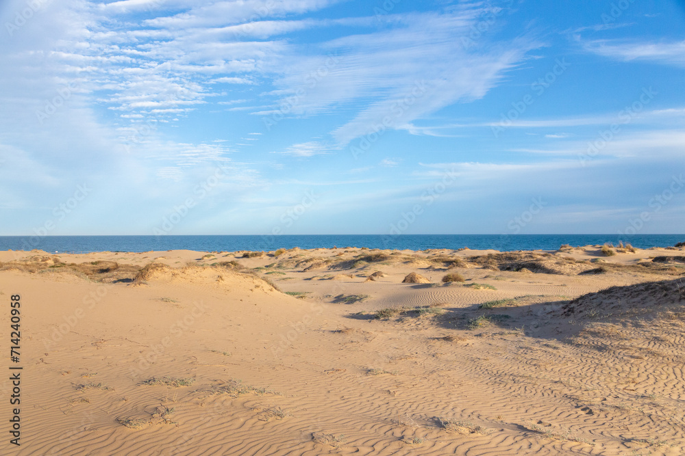 Vega Baja del Segura - Guardamar del Segura - El precioso paisaje de las dunas de Guardamar del Segura Vega Baja del Segura - Guardamar del Segura - El precioso paisaje de las dunas de Guardamar del Segura