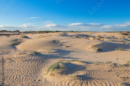 Vega Baja del Segura - Guardamar del Segura - El precioso paisaje de las dunas de Guardamar del Segura photo