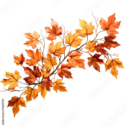 A branch with orange leaves on it on a transparent background png isolated