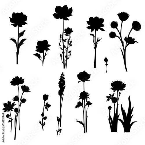 Set of silhouettes of various plant. Vector graphics. design