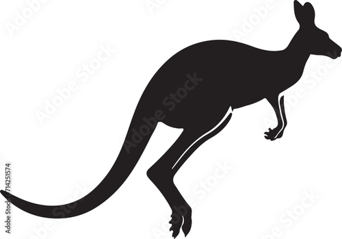 kangaroo vector illustration © Chayon Sarker