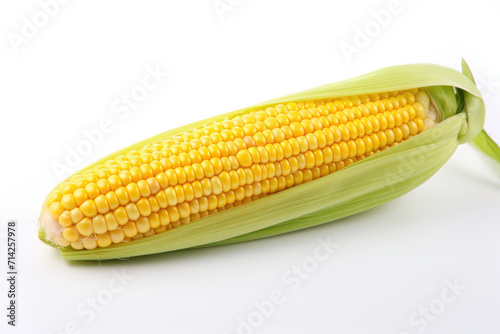 Single sweet corn , isolated white background