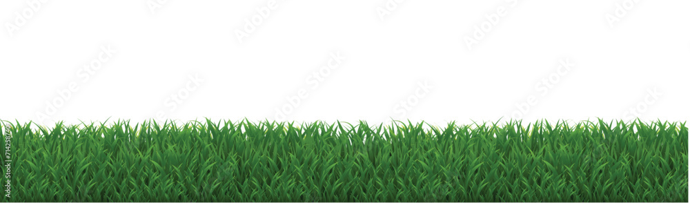 Obraz premium Grass Border And Isolated White Background