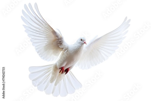 A white dove gracefully soaring through the air with its wings fully spread. This image captures the beauty and freedom of this peaceful bird. © Fotograf