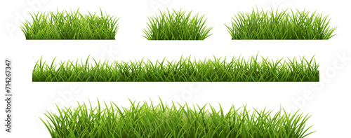 Grass Border Set And Isolated White Background