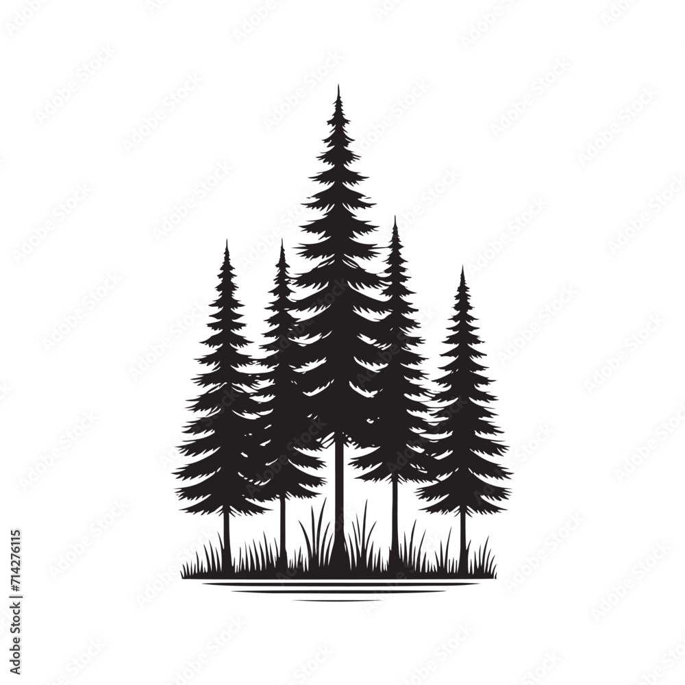 Arboreal Harmony: Nature Silhouette - Pine Tree Silhouette Ensemble Harmonizing in a Verdant Symphony of Natural Beauty - Pine Tree Vector - Nature Illustration
