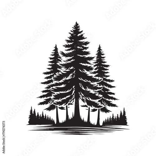 Celestial Canopy: Pine Tree Silhouette Series Creating a Stellar Tapestry in Nature's Cosmic Ballet - Pine Tree Illustration - Nature Vector
