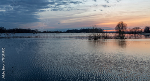 Evening landscape, flood, river flood at sunset, countryside flooded by spring flood