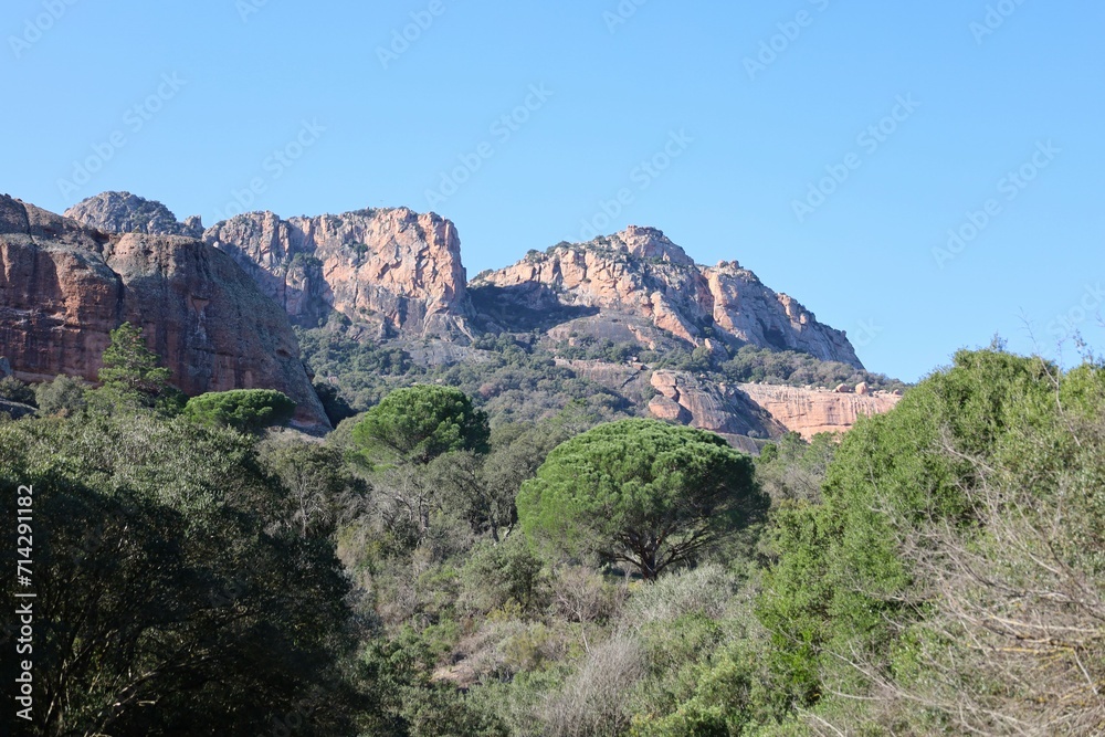french landscape, in Var district, Provence, France