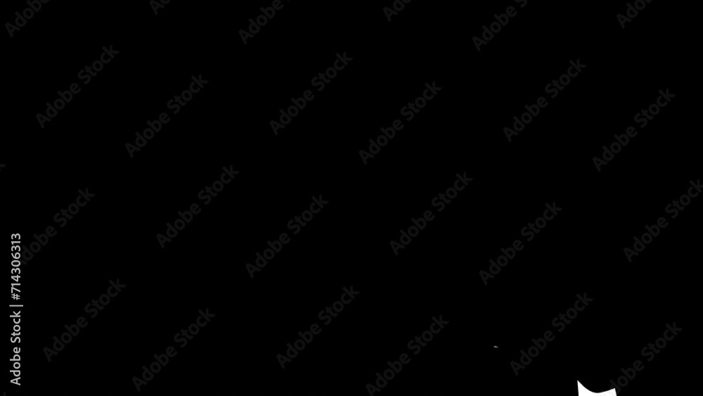 custom made wallpaper toronto digitalBlack and white floral animation transition