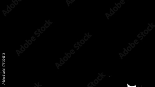 Wallpaper Mural Black and white floral animation transition Torontodigital.ca