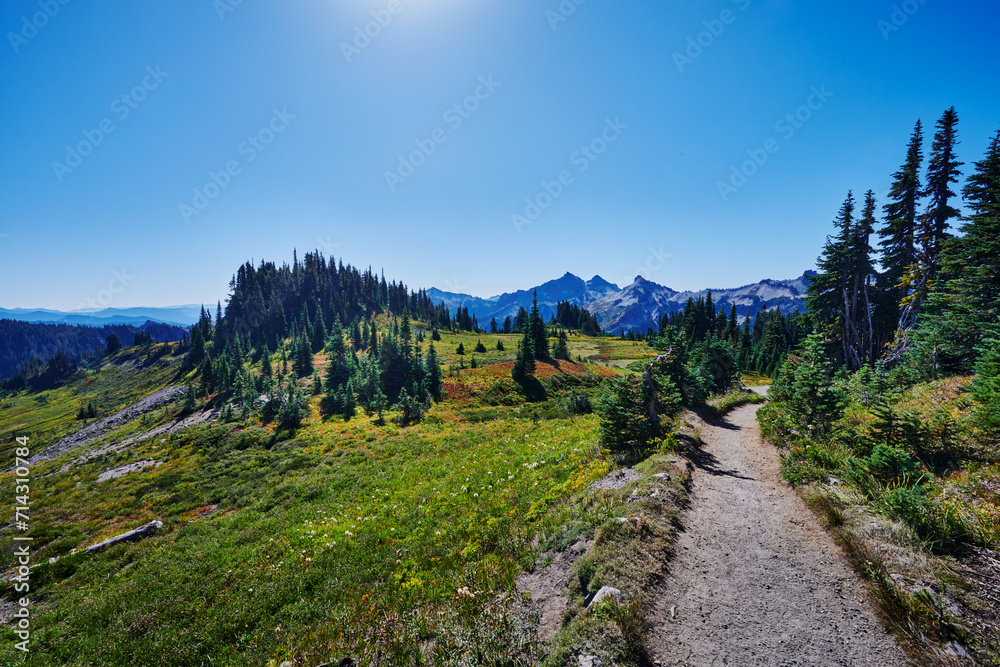 Mount Rainier National Park, Washington State, United States Mount Rainier National Park, Washington State, United States