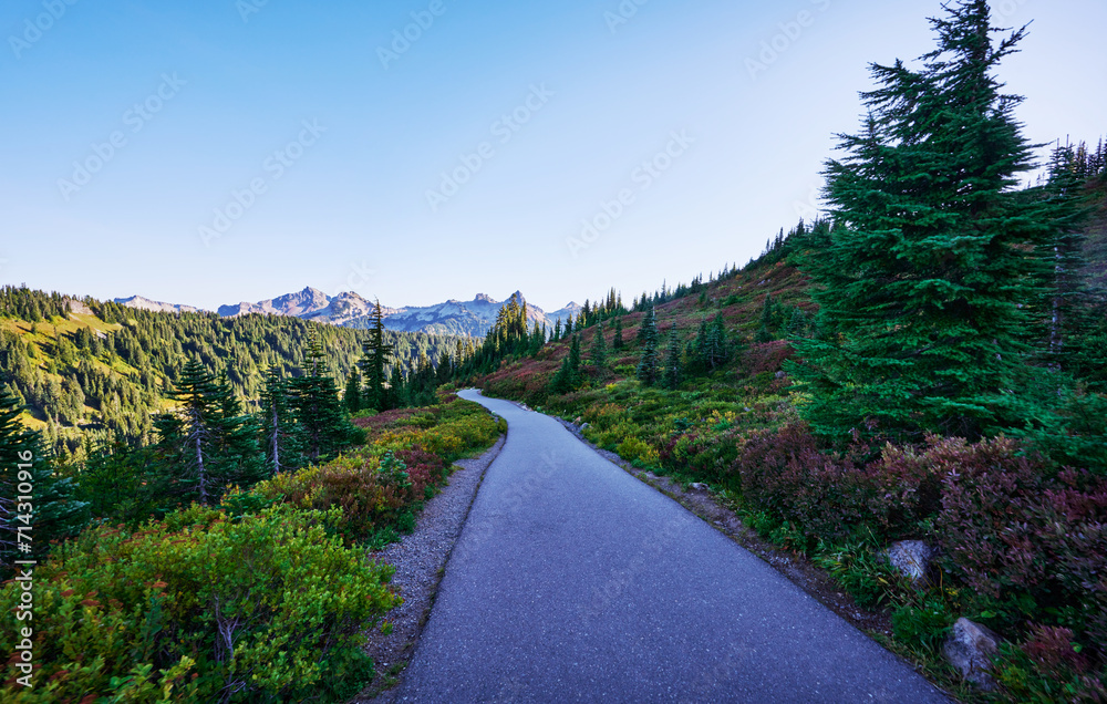 Mount Rainier National Park, Washington State, United States