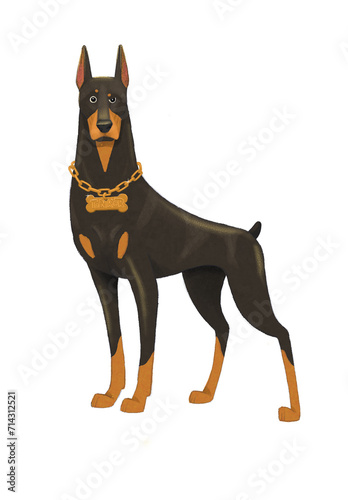 Dobermann Dog Illustration